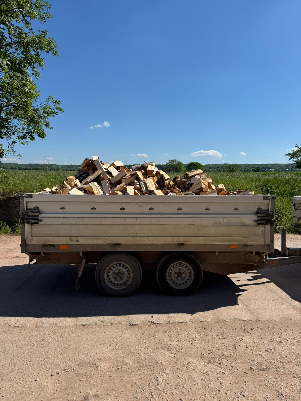 Beladener Anhänger mit Brennholz vor der Auslieferung im Weimarer Land